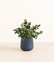 Load image into Gallery viewer, Deep Navy
