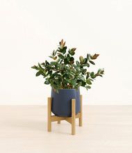 Load image into Gallery viewer, Deep Navy stand:bamboo
