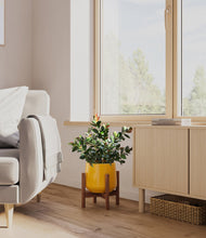 Load image into Gallery viewer, Mustard stand:walnut
