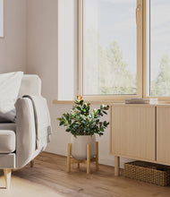 Load image into Gallery viewer, Eternal Gray stand:bamboo
