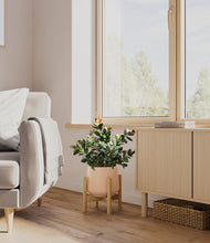 Load image into Gallery viewer, Gentle Pink stand:bamboo
