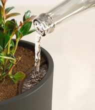 Load image into Gallery viewer, Dark Olive stand:all
