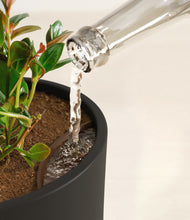 Load image into Gallery viewer, Black stand:all
