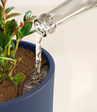 Load image into Gallery viewer, Deep Navy stand:all
