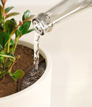 Load image into Gallery viewer, Cream stand:all
