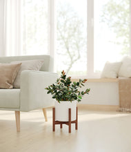 Load image into Gallery viewer, White stand:walnut
