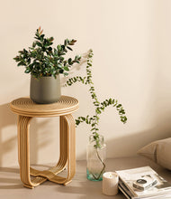 Load image into Gallery viewer, Olive
