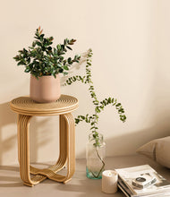 Load image into Gallery viewer, Gentle Pink
