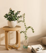 Load image into Gallery viewer, Shiny EggWhite
