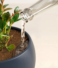 Load image into Gallery viewer, Deep Navy stand:all
