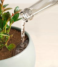 Load image into Gallery viewer, Earthy
