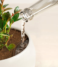 Load image into Gallery viewer, Woodland
