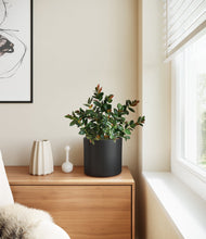 Load image into Gallery viewer, Black
