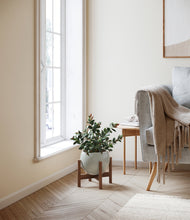 Load image into Gallery viewer, Deep Ocean stand:walnut
