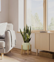 Load image into Gallery viewer, Turquoise stand:bamboo
