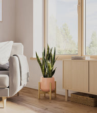 Load image into Gallery viewer, Calm Rose stand:bamboo
