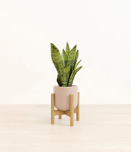 Load image into Gallery viewer, Sandy Pink stand:bamboo
