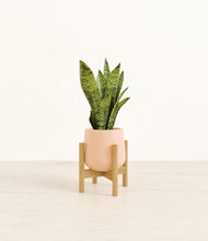 Load image into Gallery viewer, Gentle Pink stand:bamboo
