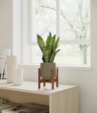 Load image into Gallery viewer, Olive stand:walnut
