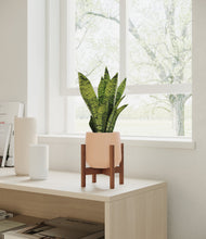 Load image into Gallery viewer, Gentle Pink stand:walnut
