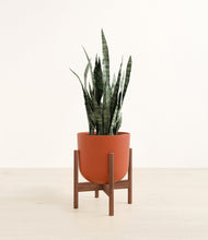Load image into Gallery viewer, Earth Red stand:walnut
