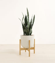 Load image into Gallery viewer, Natural Bamboo stand:bamboo
