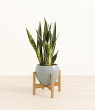 Load image into Gallery viewer, Deep Ocean stand:bamboo
