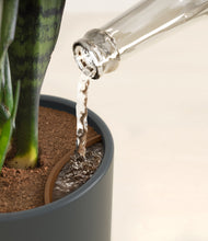 Load image into Gallery viewer, Iron Gray stand:all
