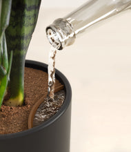 Load image into Gallery viewer, Stone Black stand:all
