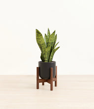 Load image into Gallery viewer, Stone Black stand:walnut
