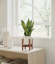 Load image into Gallery viewer, Cotton White stand:walnut
