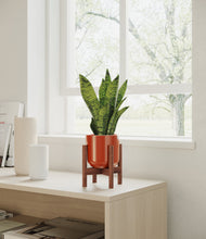 Load image into Gallery viewer, Glossy Red stand:walnut
