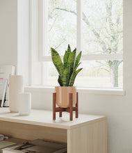 Load image into Gallery viewer, Glossy Pink stand:walnut
