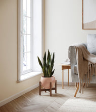 Load image into Gallery viewer, Calm Rose stand:walnut
