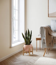 Load image into Gallery viewer, Calm Rose stand:bamboo
