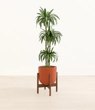 Load image into Gallery viewer, Earth Red stand:walnut
