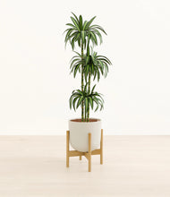 Load image into Gallery viewer, Natural Bamboo stand:bamboo
