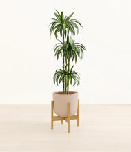 Load image into Gallery viewer, Sandy Pink stand:bamboo
