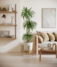 Load image into Gallery viewer, Natural Bamboo stand:bamboo
