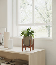 Load image into Gallery viewer, Olive stand:walnut
