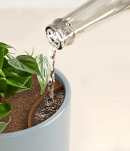 Load image into Gallery viewer, Misty Blue stand:all
