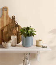 Load image into Gallery viewer, Misty Blue
