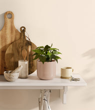 Load image into Gallery viewer, Sandy Pink
