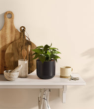 Load image into Gallery viewer, Stone Black
