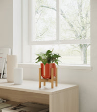 Load image into Gallery viewer, Glossy Red stand:bamboo
