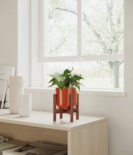 Load image into Gallery viewer, Glossy Red stand:walnut
