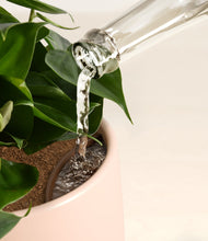 Load image into Gallery viewer, Gentle Pink stand:all
