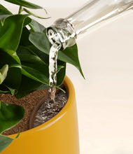 Load image into Gallery viewer, Evening Sky stand:all
