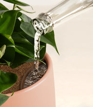 Load image into Gallery viewer, Calm Rose stand:all
