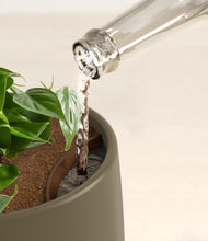 Load image into Gallery viewer, Earthy stand:all
